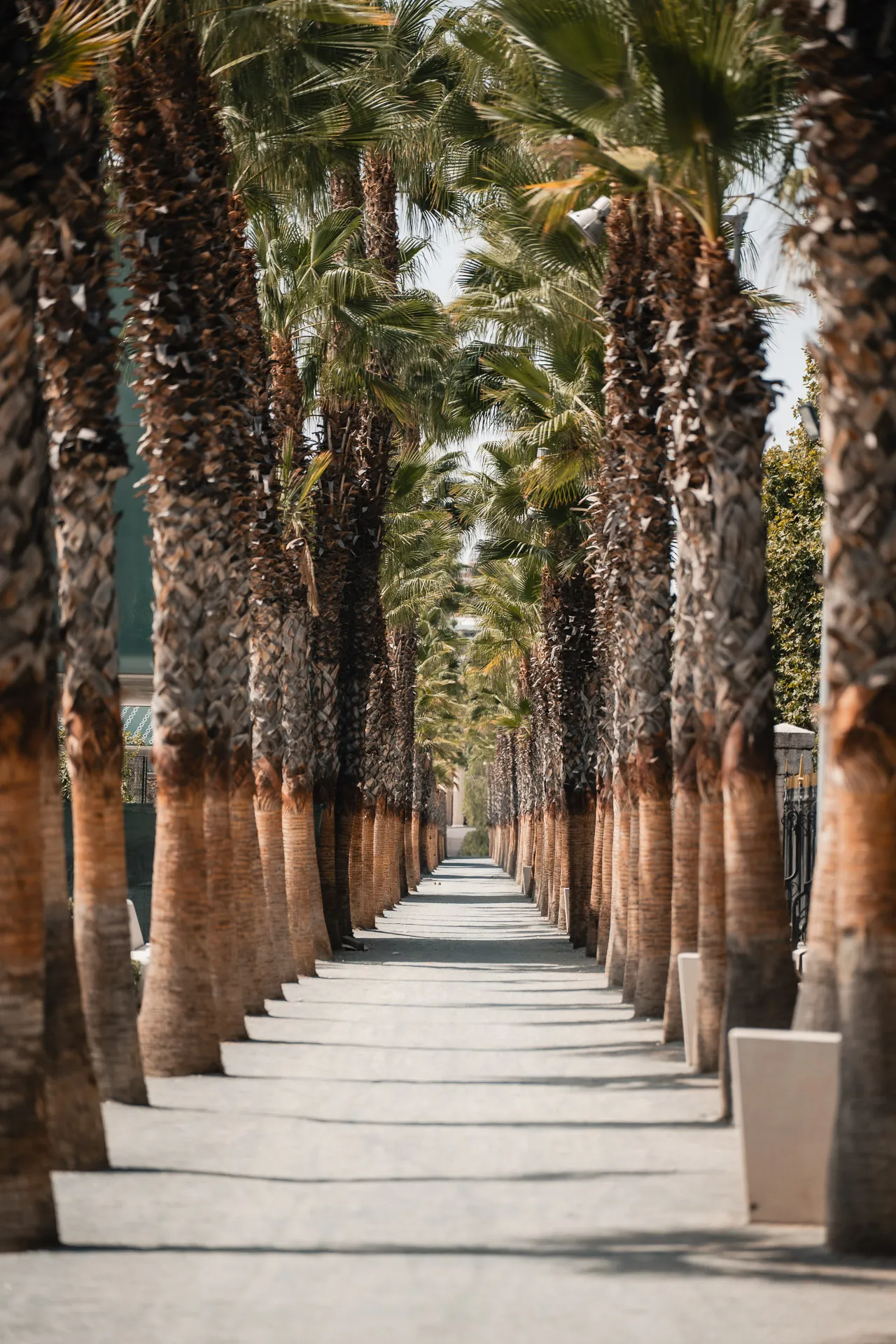 Wandel door Parque de Málaga