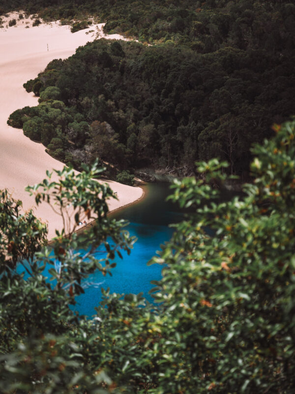 Lake Wabby - Fraser Island