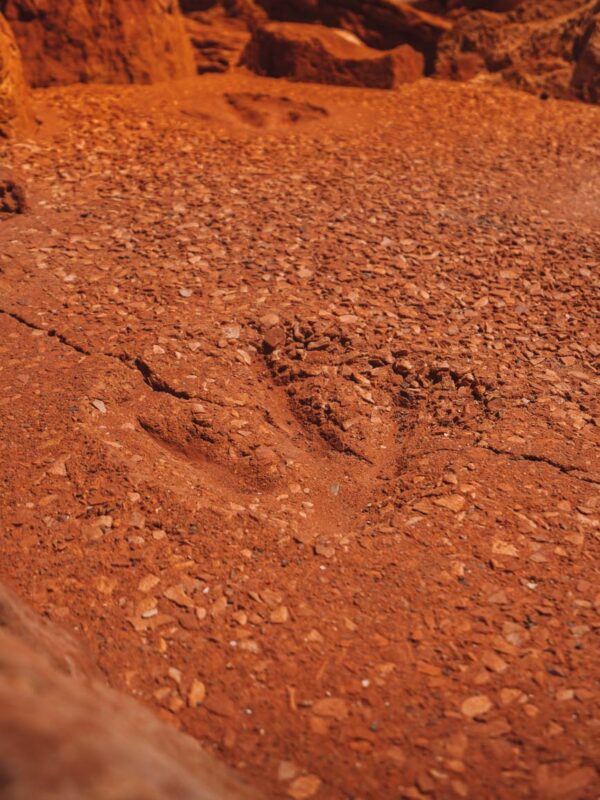 Broome - Gantheaume Point dino footprints1- BLOGPOST