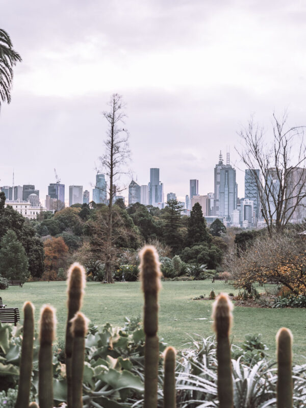 Melbourne - Royal Botanic Garden62- BLOGPOST