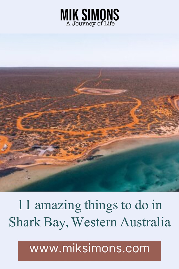 11 things to do in Shark Bay - Pinterest