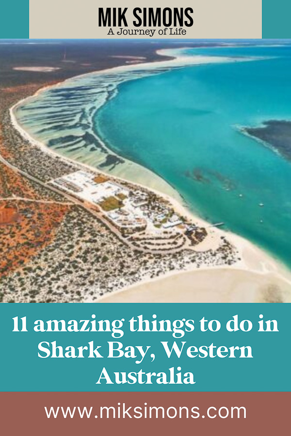 11 things to do in Shark Bay - Pinterest
