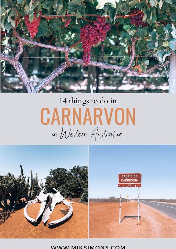 14 Things to do in Carnarvon Western Australia2