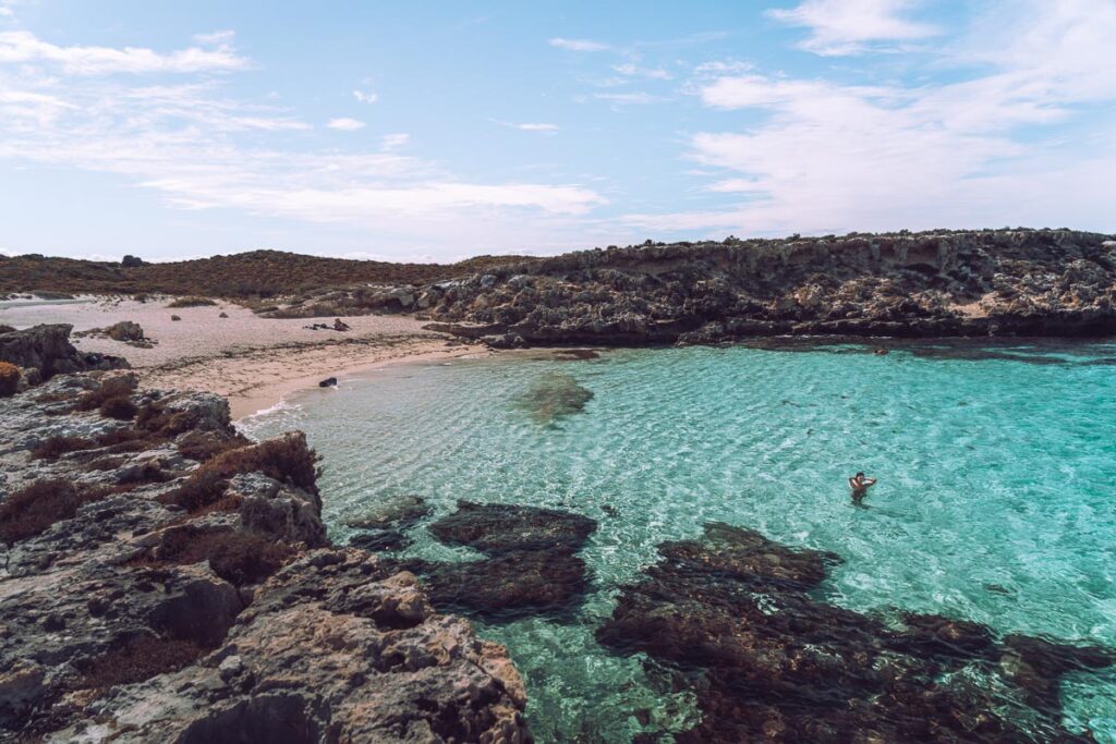 A perfect one day trip to rottnest island (2022 guide)