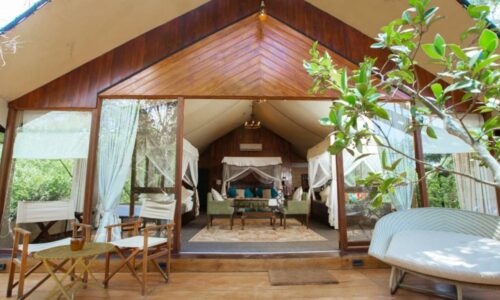 Tribe Yala - best luxury hotels in Yala