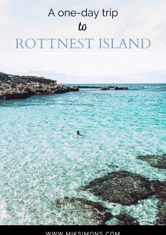 The perfect one-day trip to Rottnest Island1