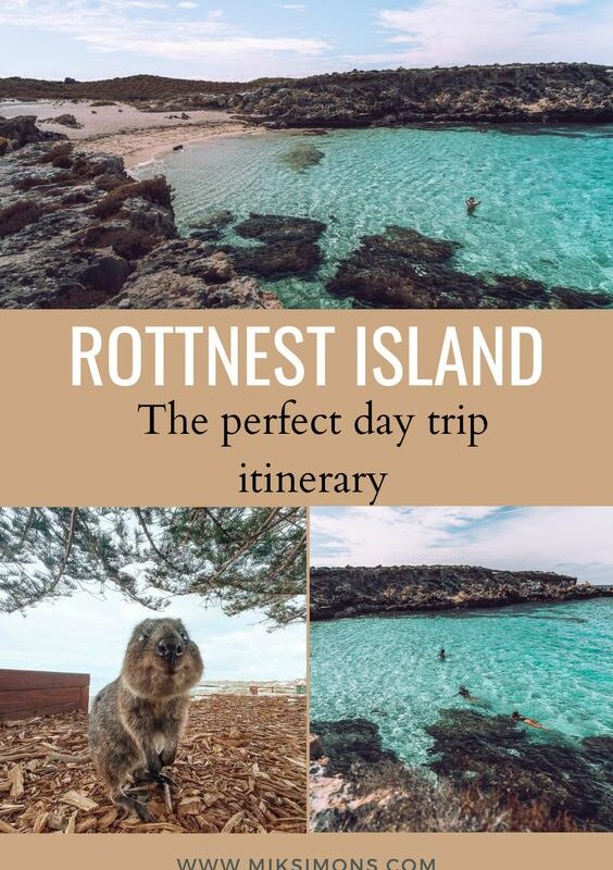 The perfect one-day trip to Rottnest Island2