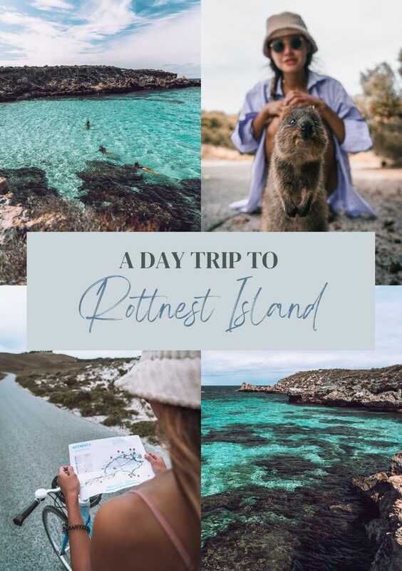 The perfect one-day trip to Rottnest Island3