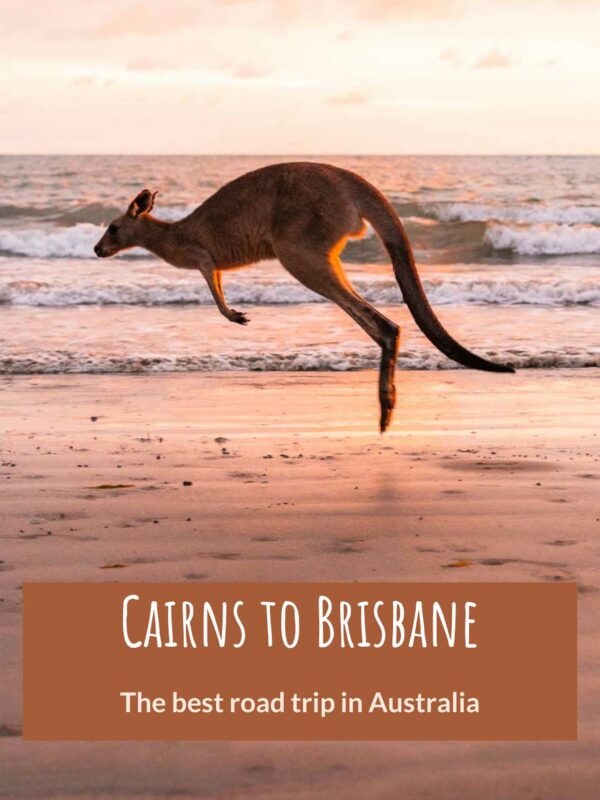 Cairns to Brisbane East coast road trip in Australia3- PINTEREST