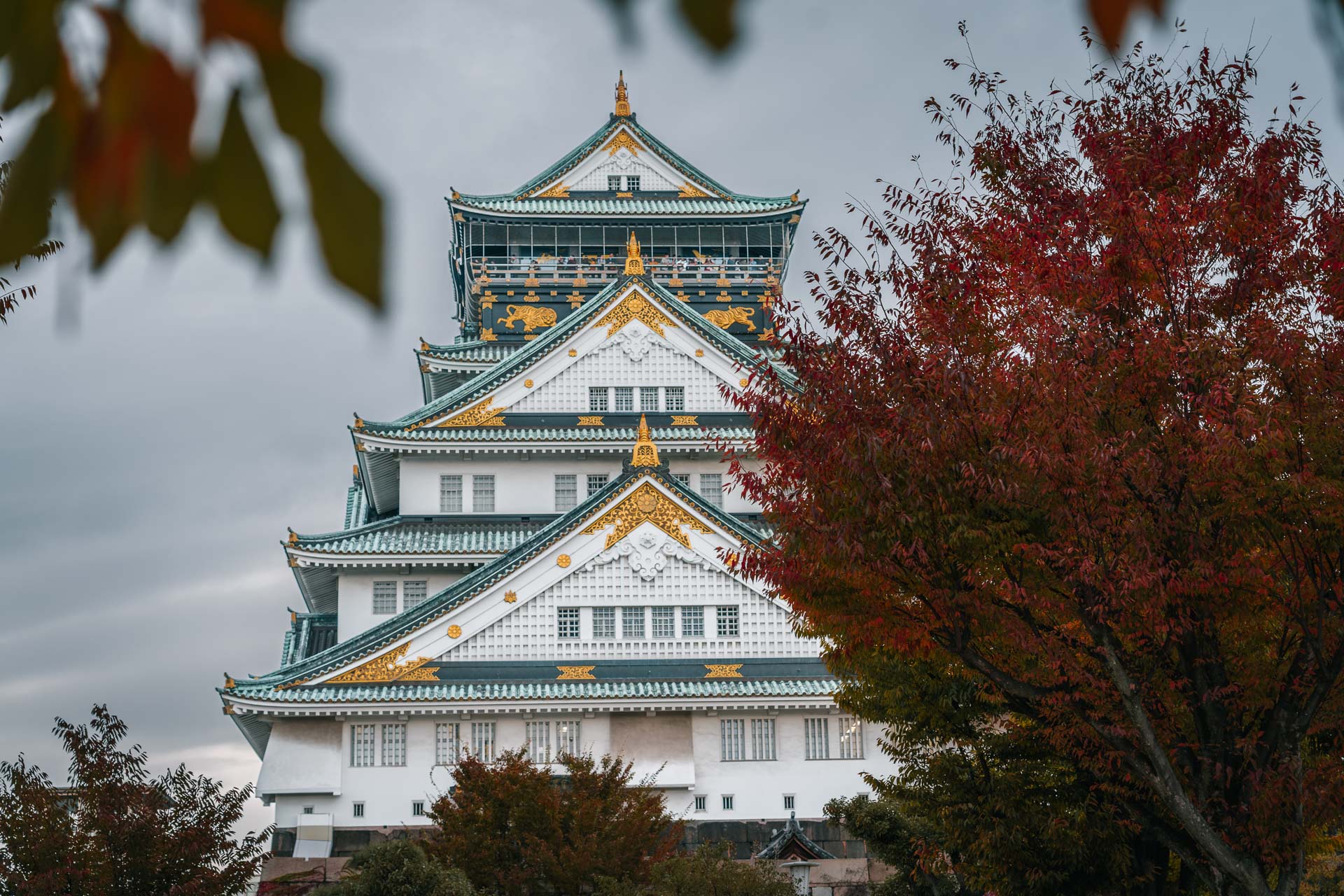 17 best things to do in Osaka