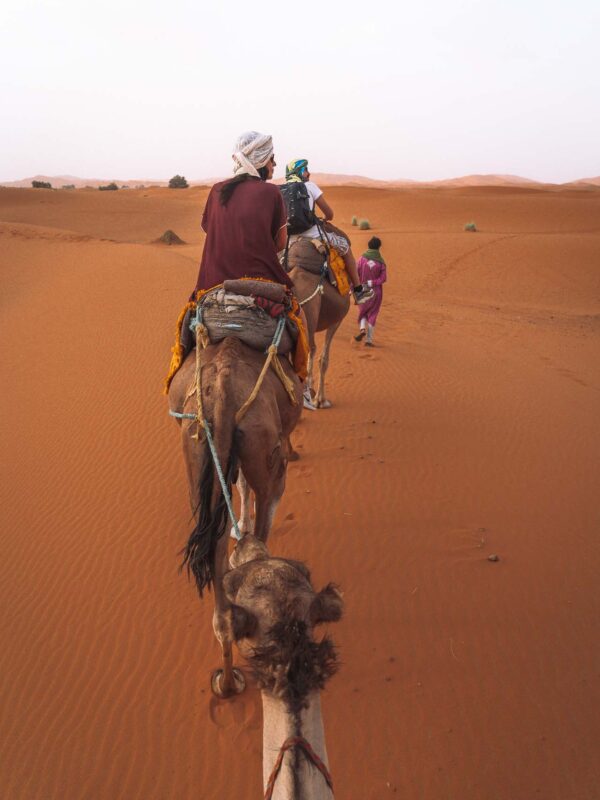 Sahara Desert Luxury Camp - Camel Ride9- BLOGPOST HQ