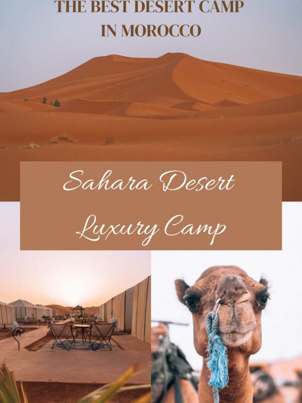 Sahara desert luxury camp2- PINTEREST
