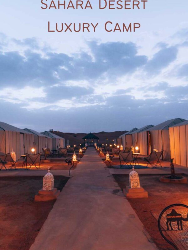 Sahara desert luxury camp3- PINTEREST