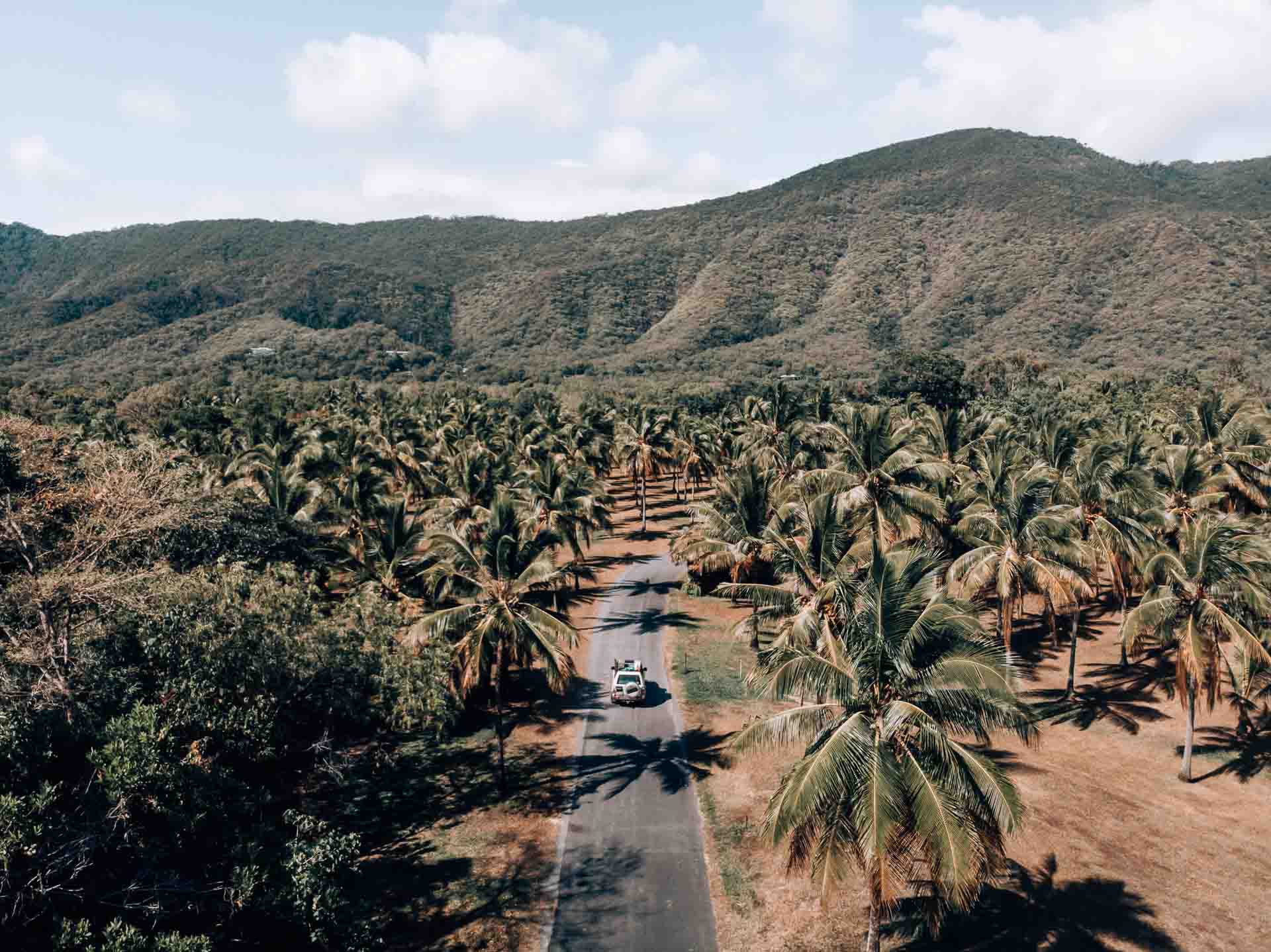 Thala Nature reserve Palmtree road2- BLOGPOST HQ