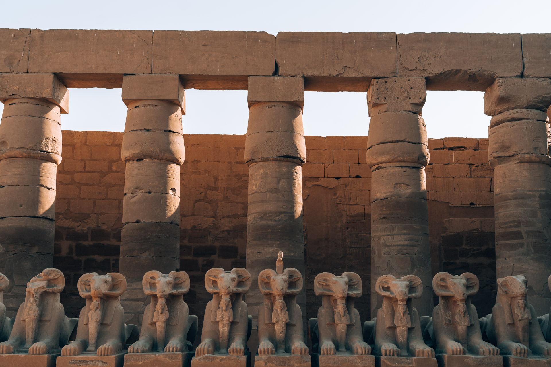 Egypt - Luxor - Le Fayan - Karnak Temple343- BLOGPOST