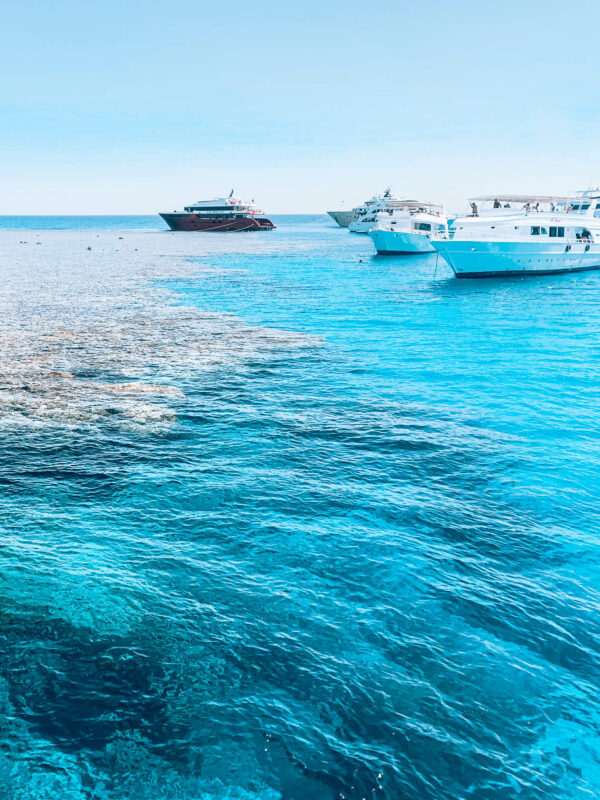 Hurghada - diving