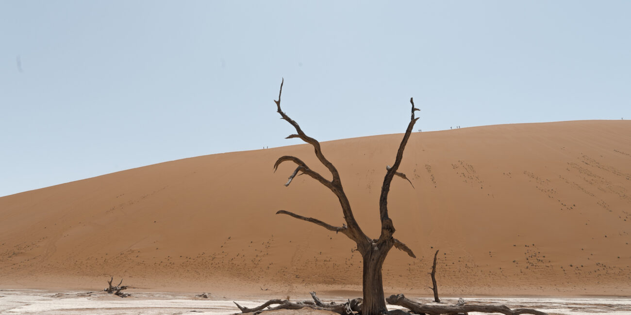 The Best 14-day Namibia self-drive itinerary