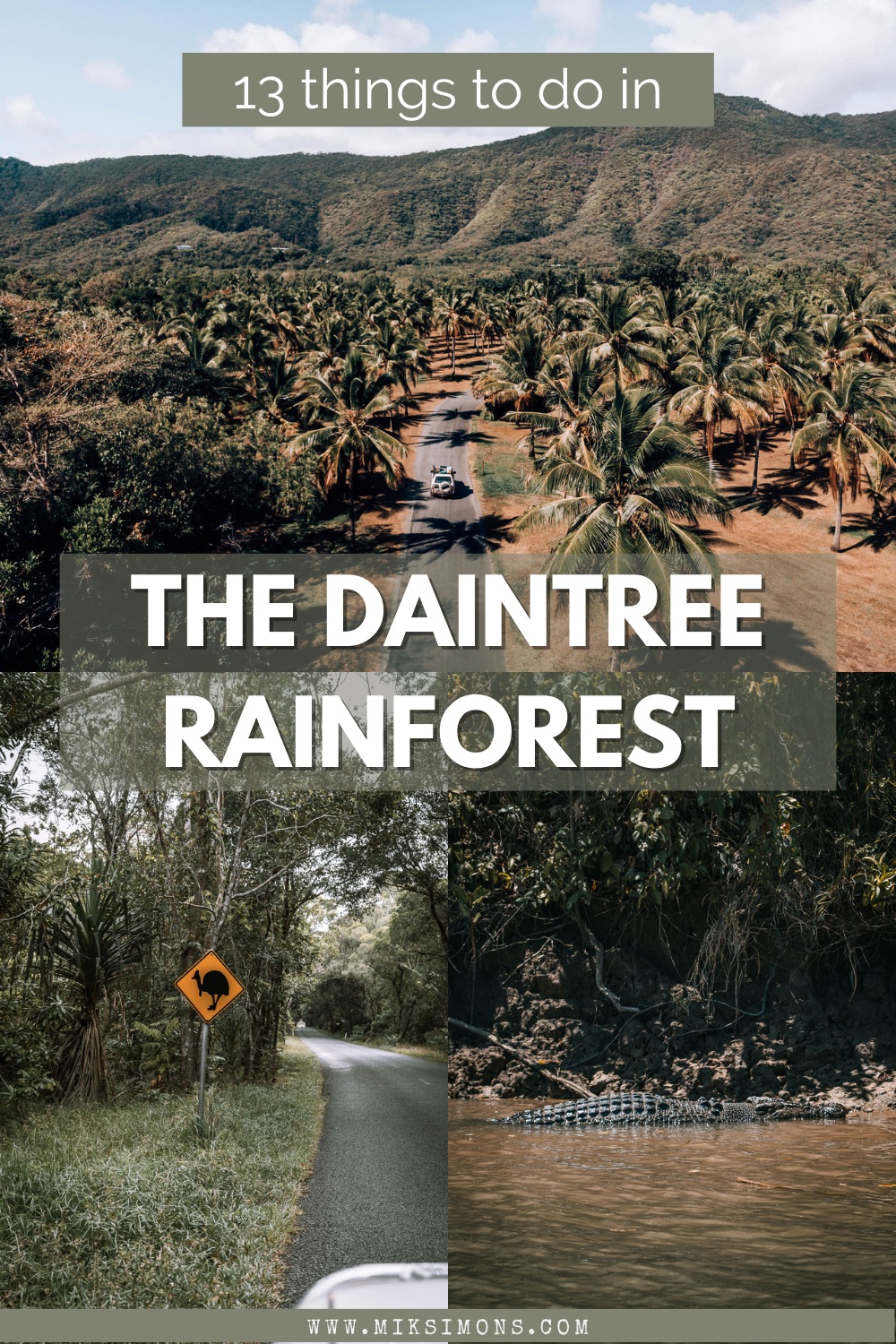 DAINTREE RAINFOREST - 11 AWESOME THINGS TO DO FROM CAIRNS TO CAPE TRIBULATION3