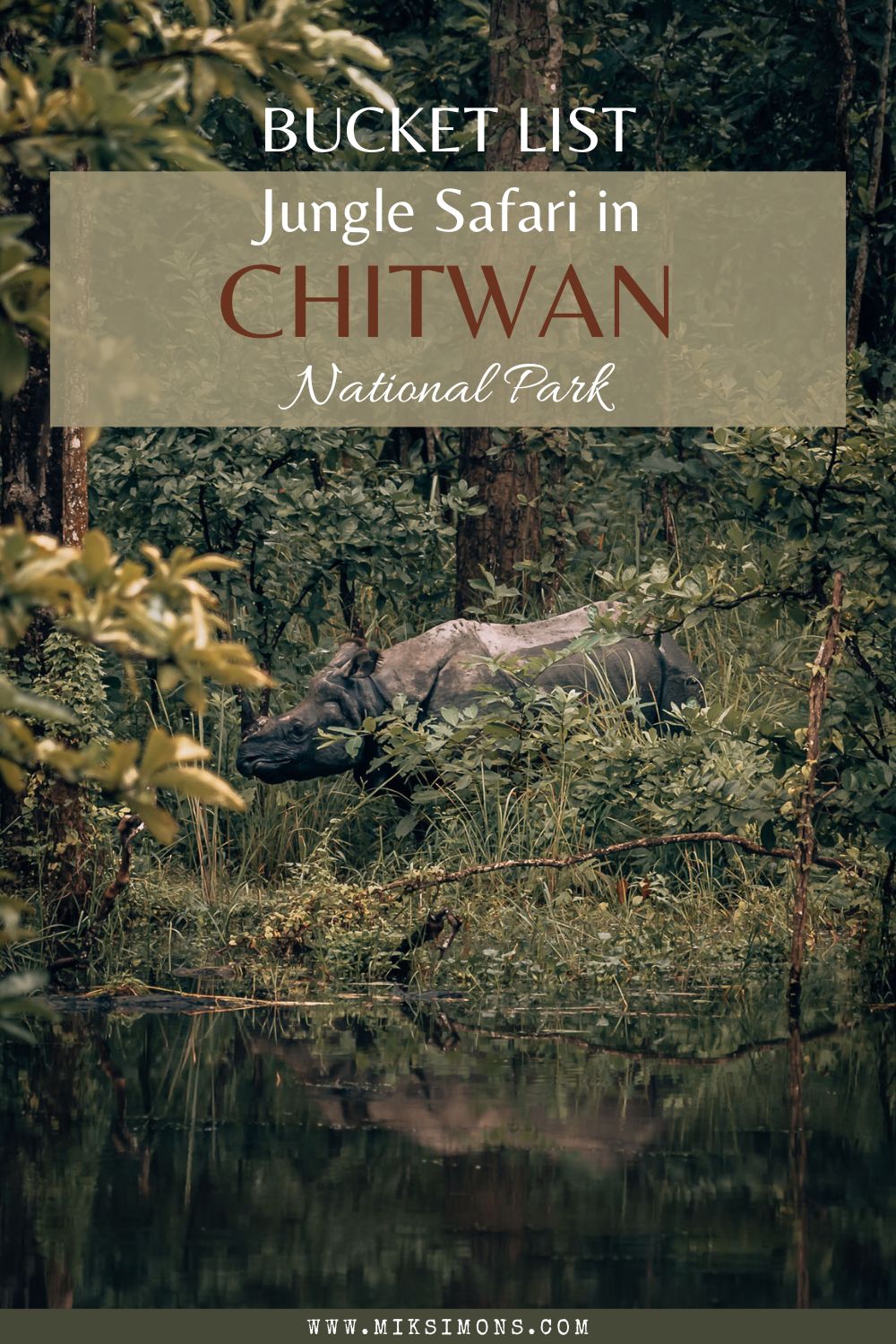 A jungle safari in Chitwan National Park - 6 awesome reasons to add this to your bucket list